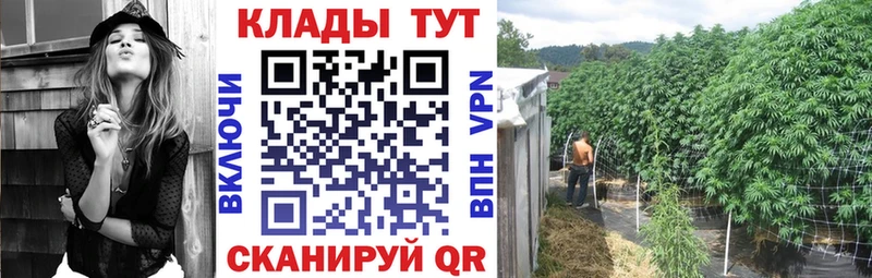 Где купить наркотики Балахна Марихуана  Галлюциногенные грибы  блэк спрут маркетплейс  Меф мяу мяу 