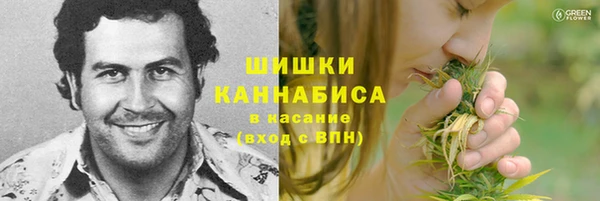 стафф Абинск