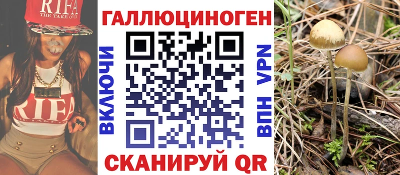 Псилоцибиновые грибы мицелий Балахна